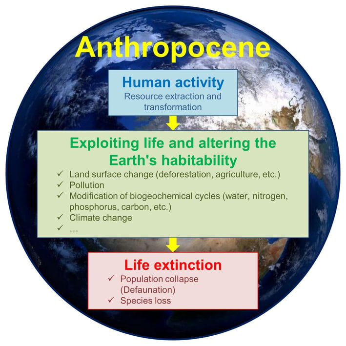 Definition of the Anthropocene in pictures: human activity causes extinction of life