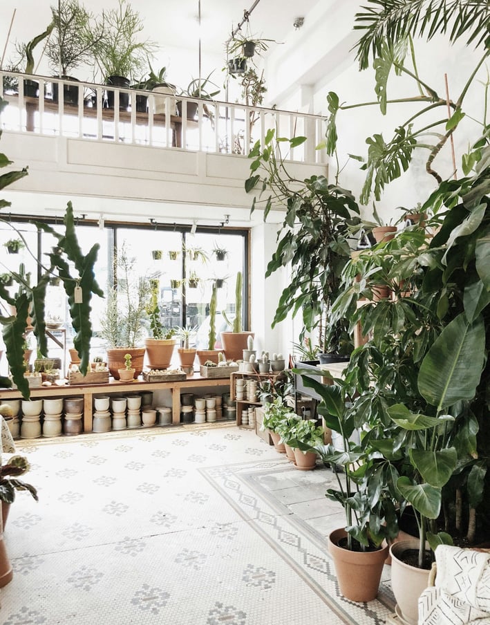 a room with a lot of potted plants and a balcony