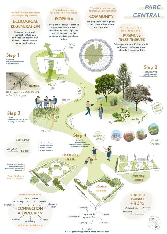 Parc central, BCN, gráfico, sostenibilidad, arquitectura, regenerativo, diagrama