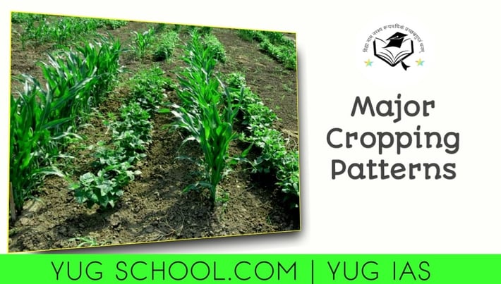 Major Cropping Patterns