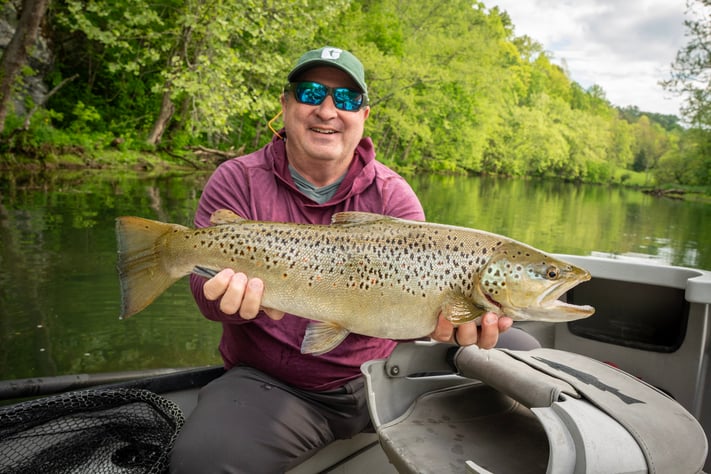 25.5" personal best brown trout! May 2025 South Holston River Fishing Report