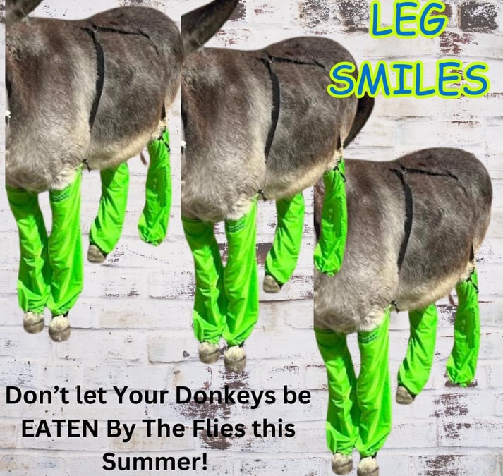 a donkey with green pants and a donkey