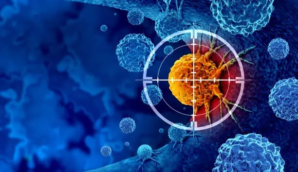 Cancer cell