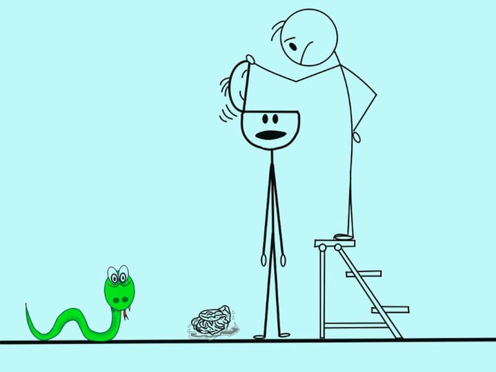 Stick figures.One on ladder looking into empaty place because brain fell out. Snake shocked.