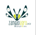 Zangao Drones Aplicação Aérea logo
