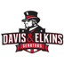Davis & Elkins College