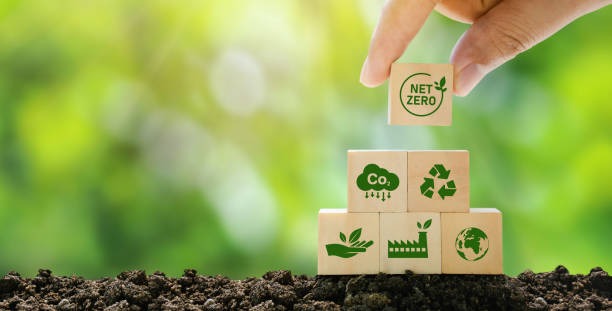Environmental Impact