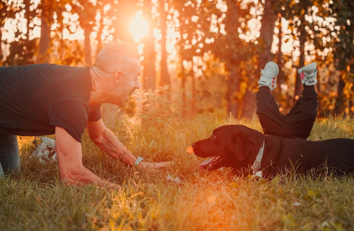 bambino-che-inciampa-sul-cane-al-tramonto
