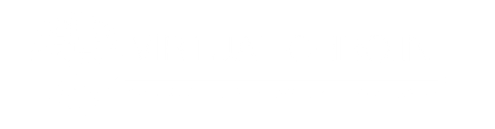 virtual chro.in logo
