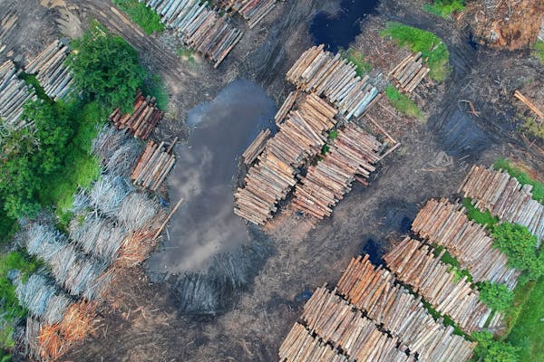 Deforestation