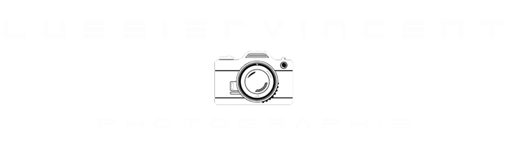 vincentlussier logo