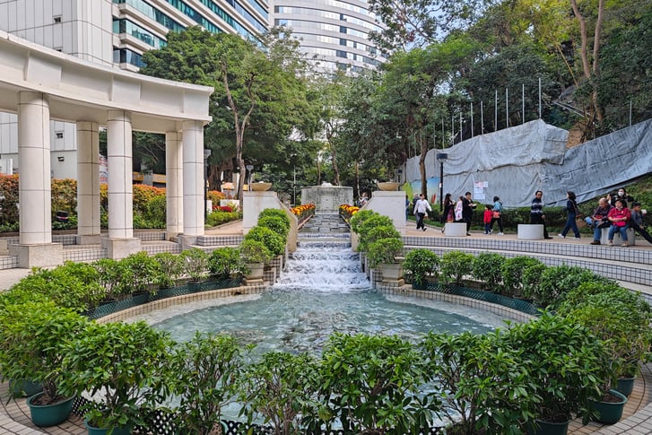 Water and plants with buildings in the background