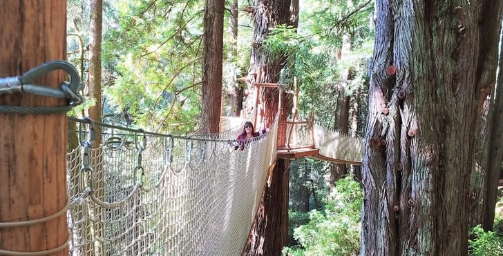 CA Coast - The Redwood Canopy Trail at Trees of Mystery has suspensions bridges between giant trees