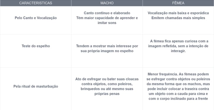 como saber sexo calopsita
