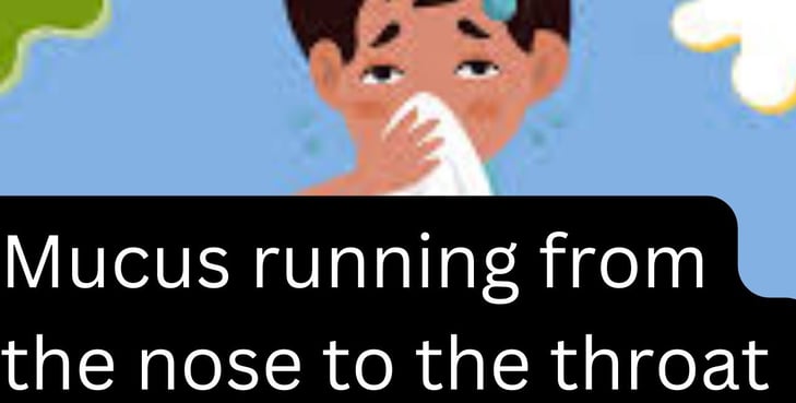  Mucus running from the nose to the throat