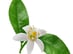 baume-nettoyant-naturel-artisan-cosmethic