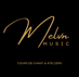 Logo Melvnmusic