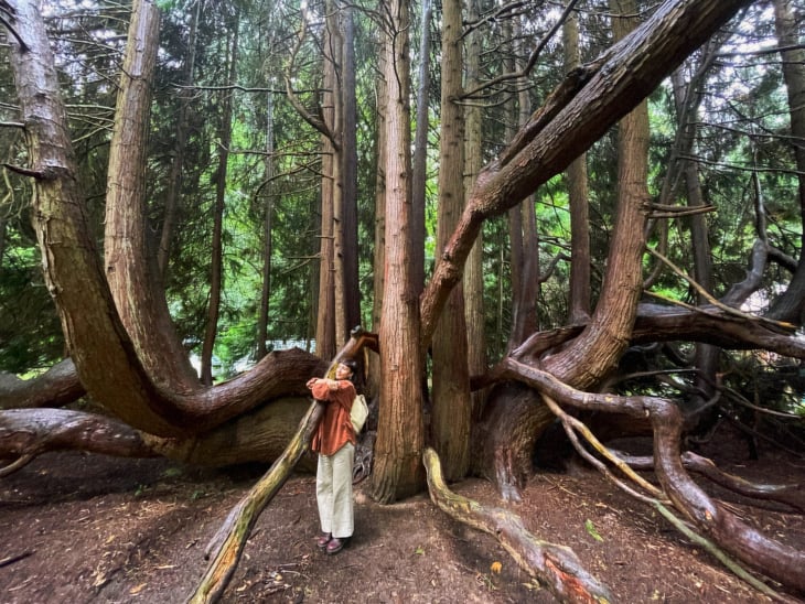 Dani de Rosa a person standing in front of a tree and give him a hug
