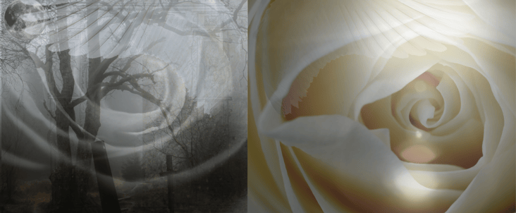 entry points into trauma work can be shadow or light