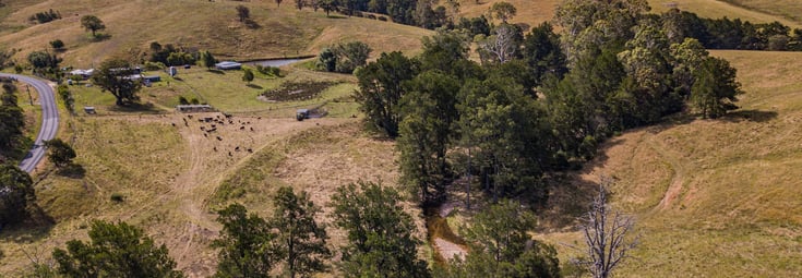 Dragonflybrogo House Creek View