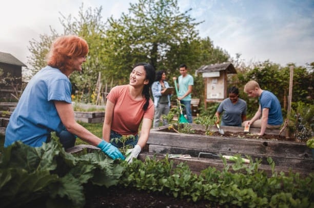 Support local farming