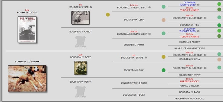 Walling's "Bullyson" 2xW 1xL ROM Pedigree APBT History