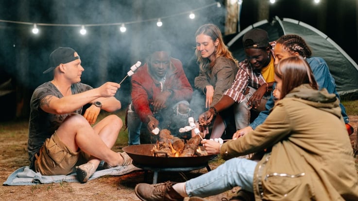 6 Amigos asando malvaviscos frente al fuego