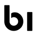 Bi Nguyen Group logo