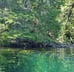 Imagen bosque y lago