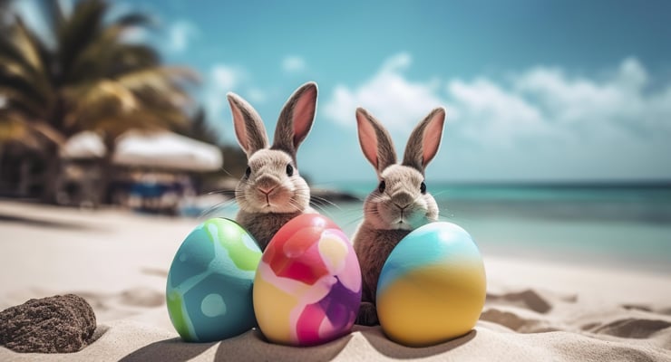 two rabbits are sitting on the beach near the sea in front of palm trees on holiday