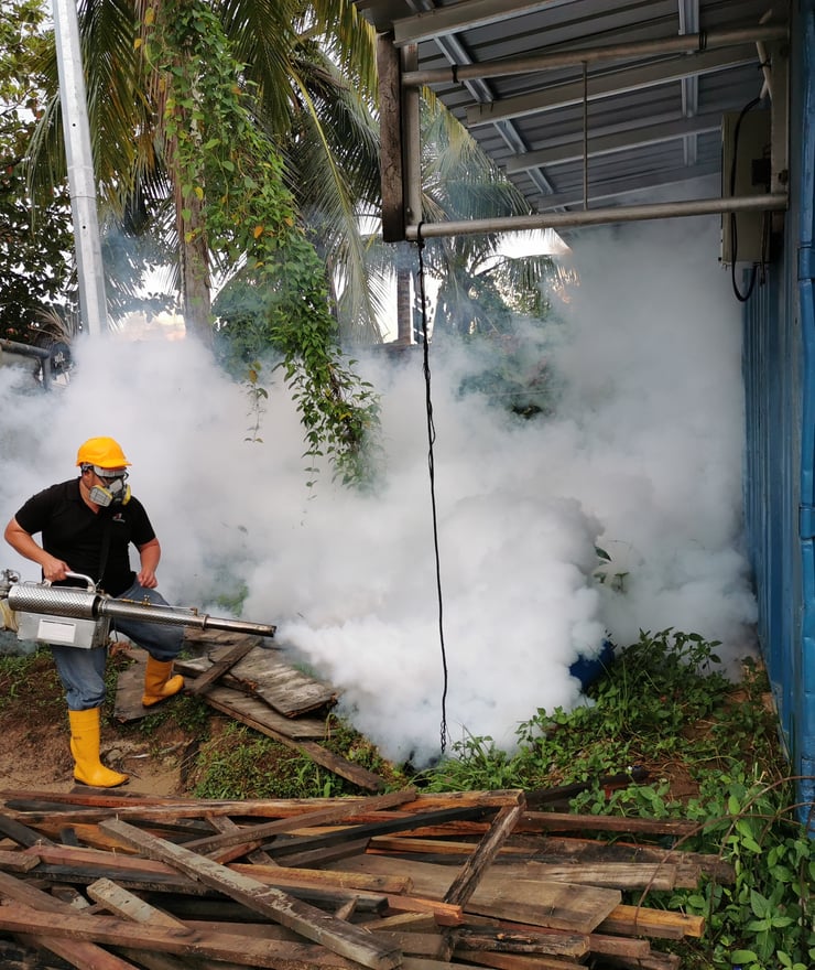 mosquito kill 蚊子消灭