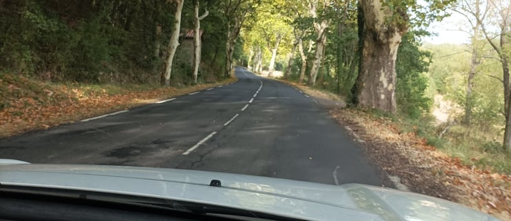 Plane leaves gather at the sides of the road