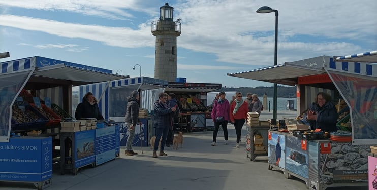 The Oyster market