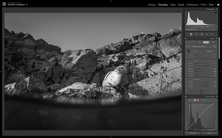 Lightroom editing interface. With. a seal picture.