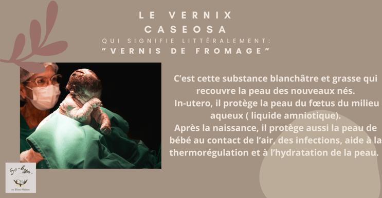 blog vernix