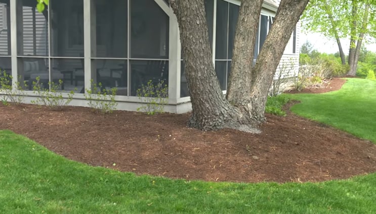 An outdoor patio surrounded by a tree which are both surrounded by mulch