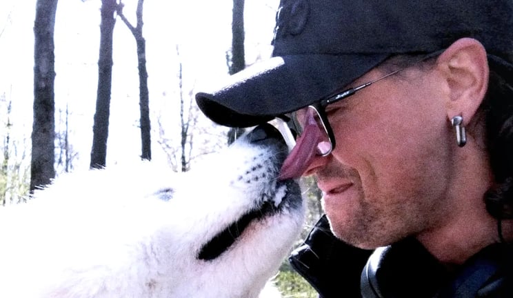 Ein weisser Samojede leckt das Gesicht eines Mannes mit Brille und schwarzer Baseballkappe