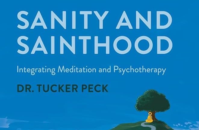 Cover of Sanity & Sainthood by Tucker Peek - a book on meditation and psychotherapy