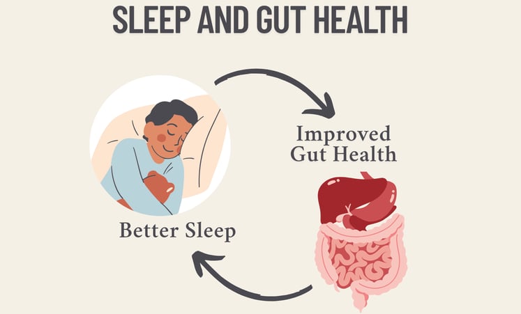 Diagram showing connection between sleep and gut health