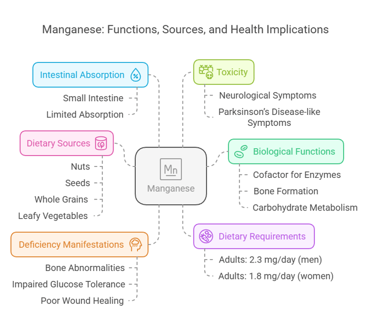 Manganese overview