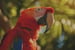 a parrot sitting on a tree branch in the sun