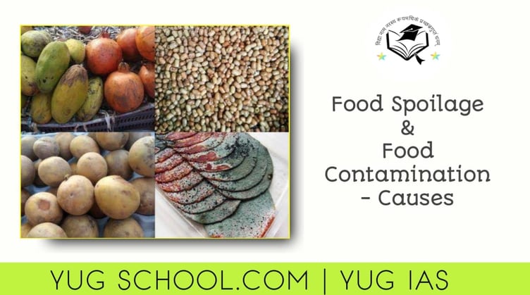 Food Spoilage and Food Contamination - Causes