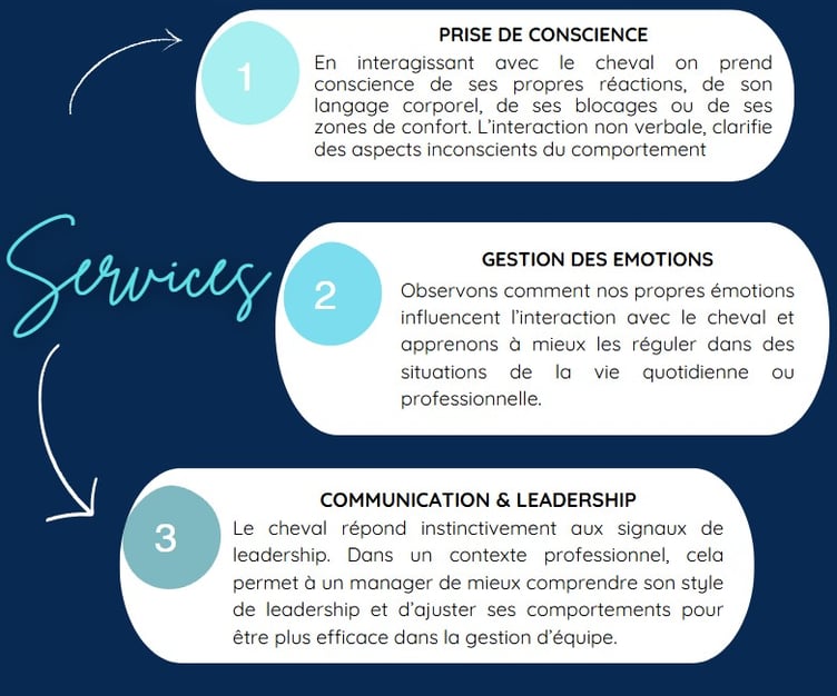 Infographie mettant en avant les principaux avantages de l'Equicoaching pour les PME : amélioration 