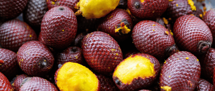 Le fruit du buriti, avec une chair jaune et une coque rouge