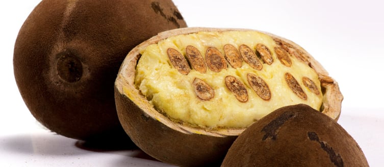 Le fruit du cupuaçu, avec une chair jaune et une coque marron