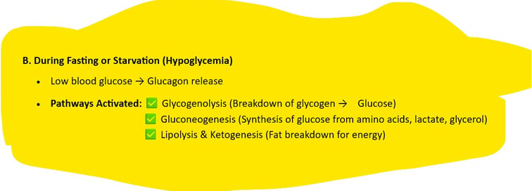 Fasting or Starvation (Hypoglycemia)