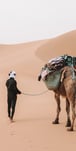 Walking with Nomads in  the Moroccan Sahara chigaga desert trekking