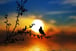 a bird sitting on a branch of a tree