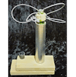 stem flower, 2025