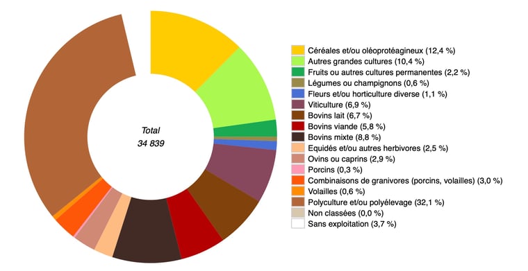 PESTICIDES AGRICULTURE CARTES INFOGRAPHIES